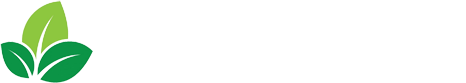 Videna